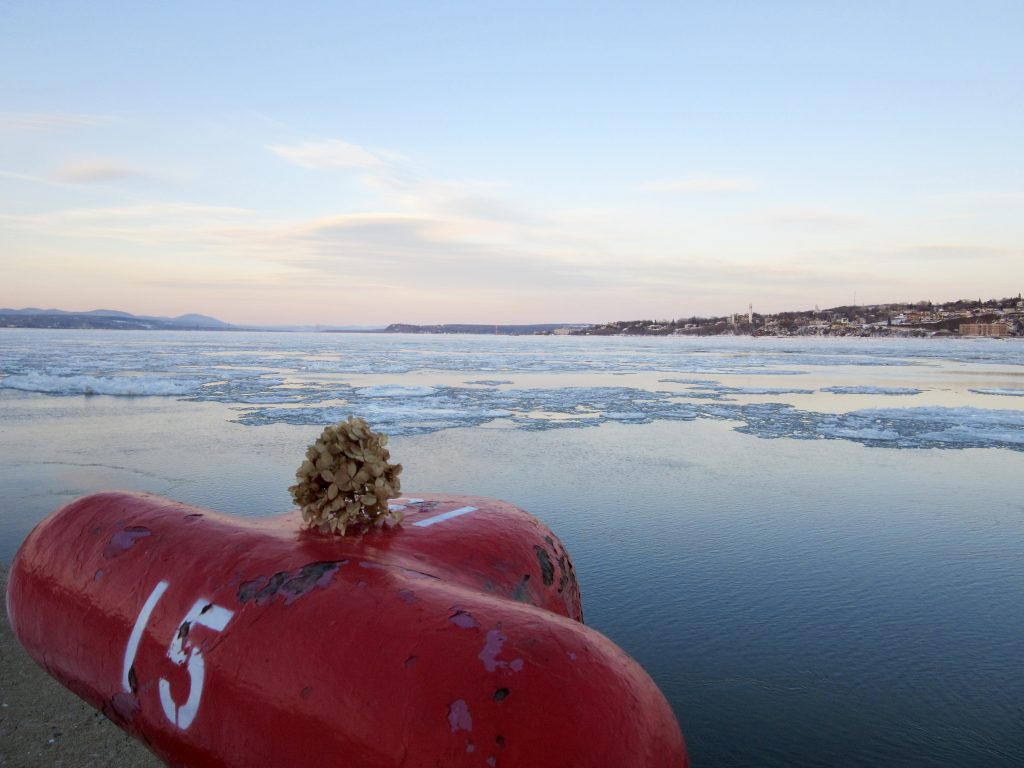 Fleuve Saint-Laurent